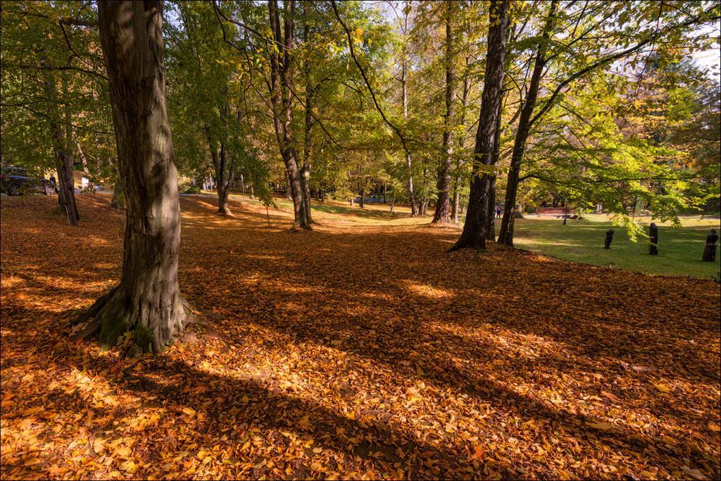 Apart-Club Zora Бардеевские Купели Экстерьер фото